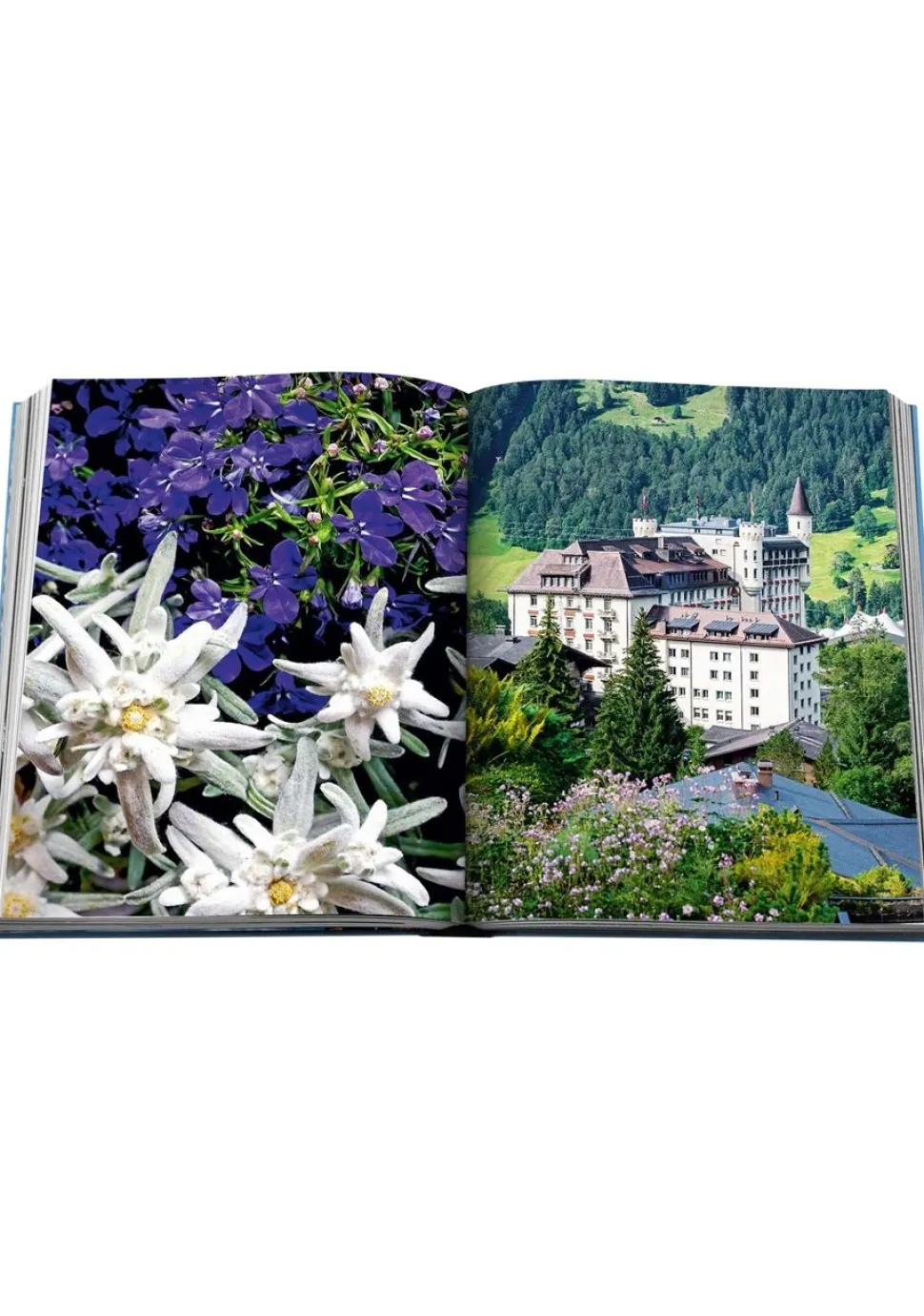 ASSOULINE ACCESSOIRE