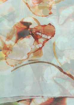 CASA DE SCIARPA SJAAL