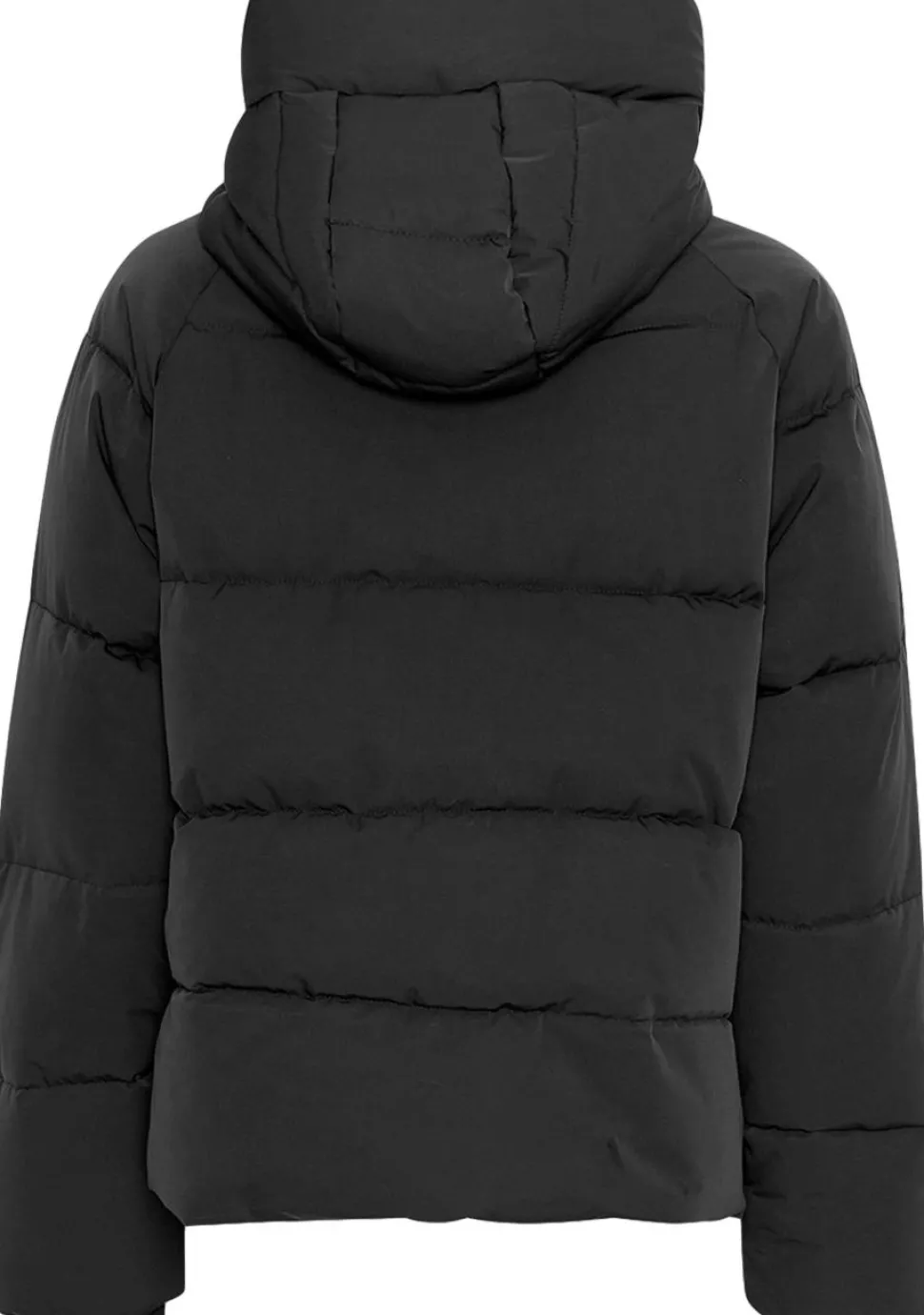 MSCH COPENHAGEN JACK